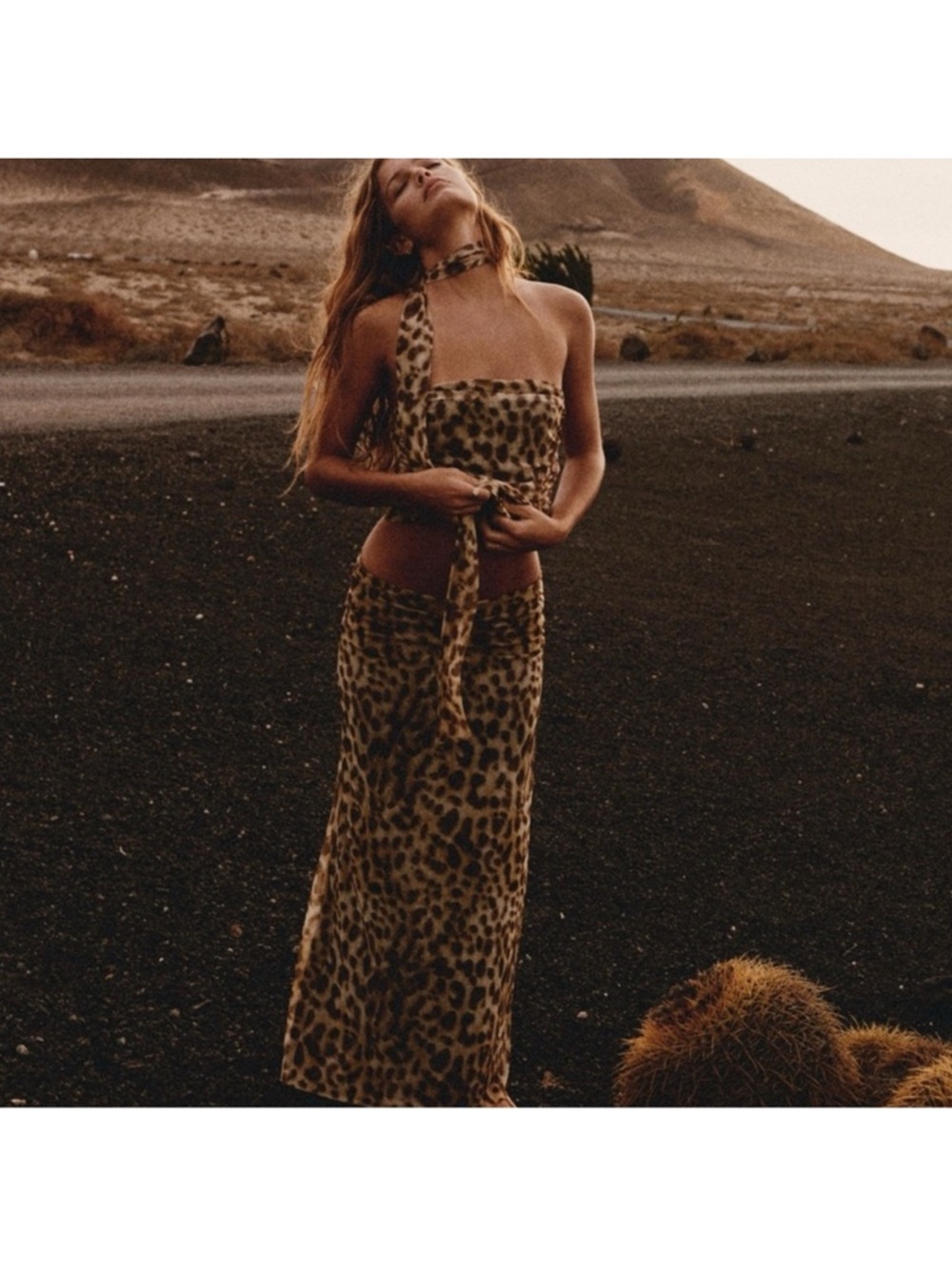 Zara Cheetah Set
